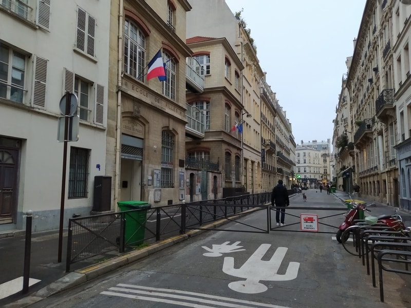 Pedestrianised street with school. A man plays with his dog in the street.