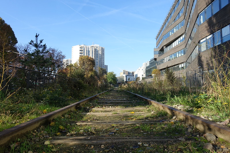 A stretch of the Petite Ceinture in the 13th arrondissement, now a park