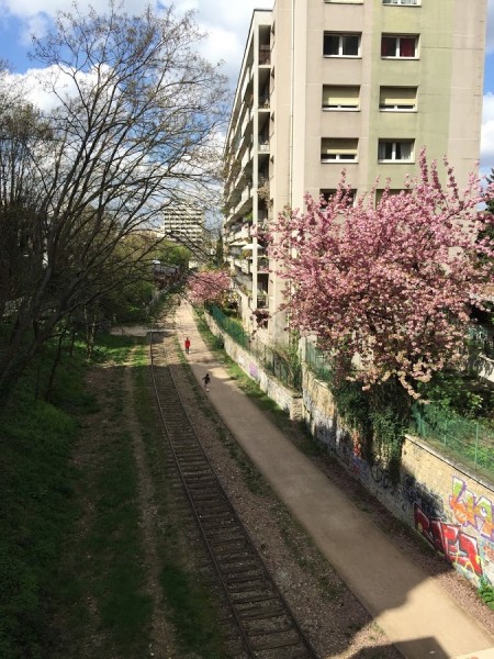 Petite Ceinture du 15ème