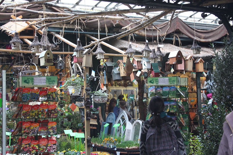 Bird boxes and flower seeds for sale in a market