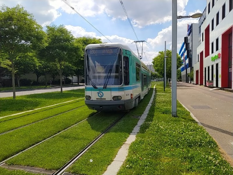 TFS tram vehicle running on grass-covered tramway track